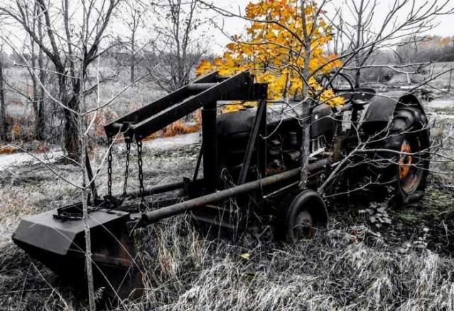 Mother In The Eyes Of Time photo 5