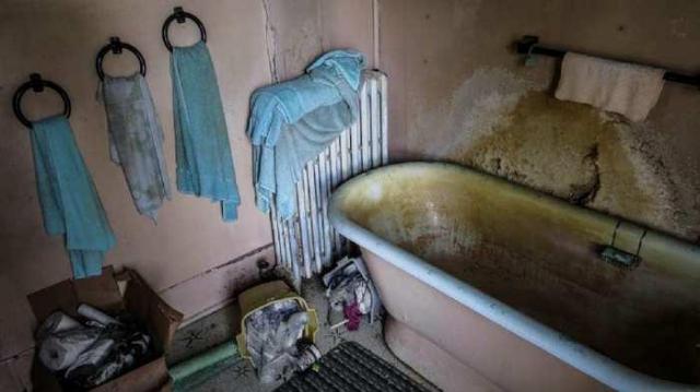 Mother In The Eyes Of Time photo 4