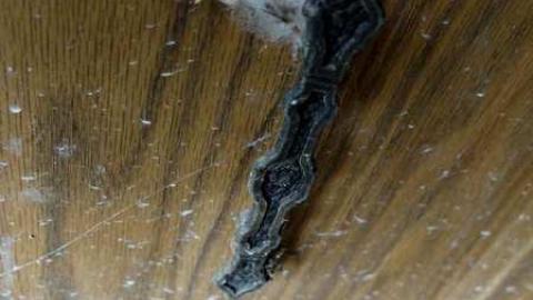 Nov2013 - S0010001.jpg