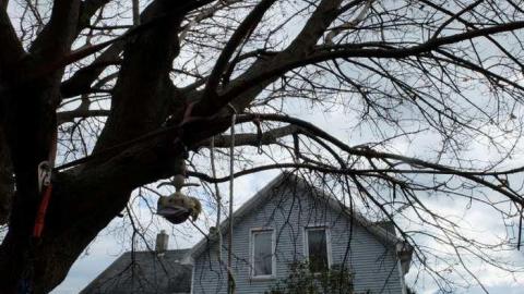 Nov2013 - S0959095.jpg