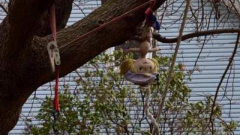 Nov/13 - DSC_1080.jpg