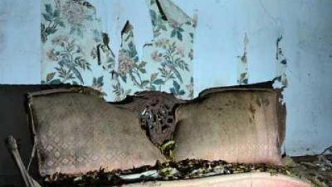 Nov/13 - Big-Green82.jpg