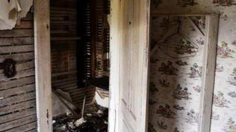 Nov/13 - Big-Green83.jpg