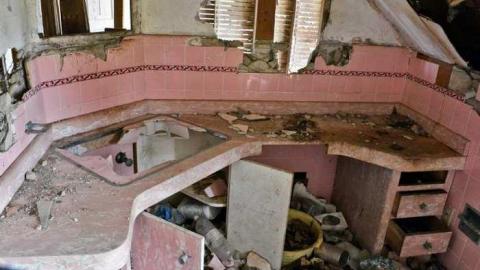 Nov/13 - Big-Green78.jpg