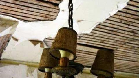 Nov/13 - Big-Green79.jpg