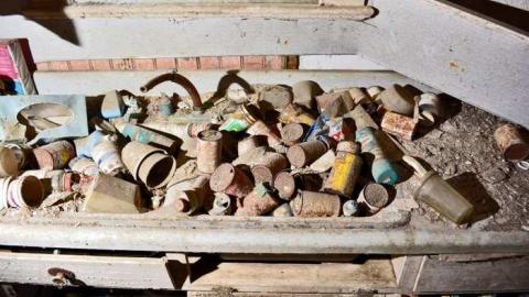 Nov/13 - Big-Green80.jpg