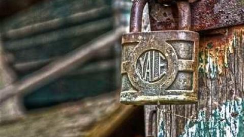 Nov/13 - Big-Green86.jpg