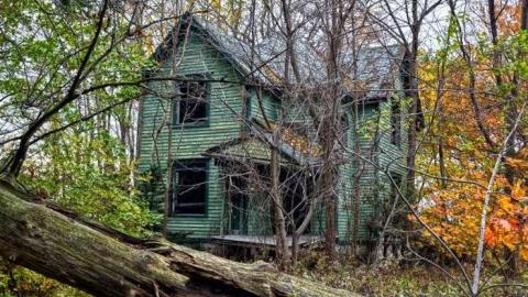 Nov/13 - Big-Green81.jpg