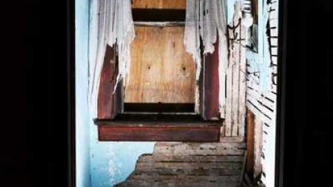 Nov/13 - Big-Green87.jpg