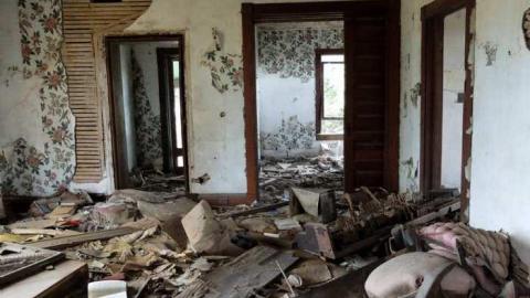 Nov2013 - Big-Green40.jpg