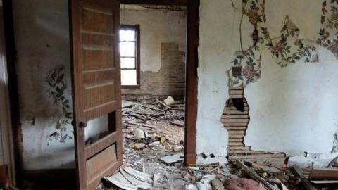 Nov2013 - Big-Green42.jpg