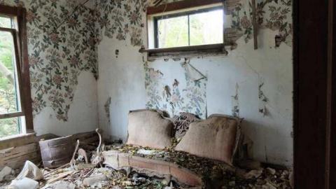 Nov2013 - Big-Green43.jpg