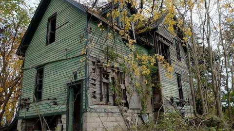 Nov2013 - Big-Green49.jpg