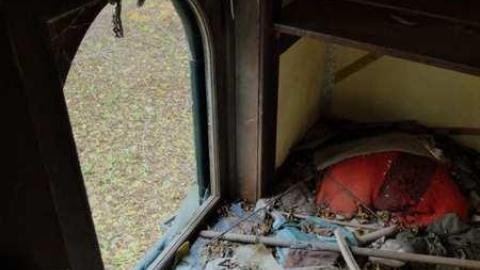 Nov2013 - Big-Green50.jpg