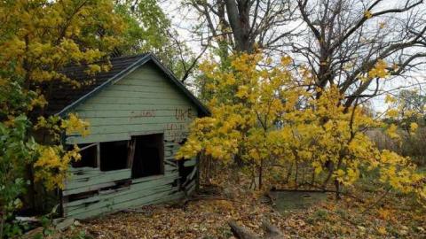 Nov2013 - Big-Green52.jpg