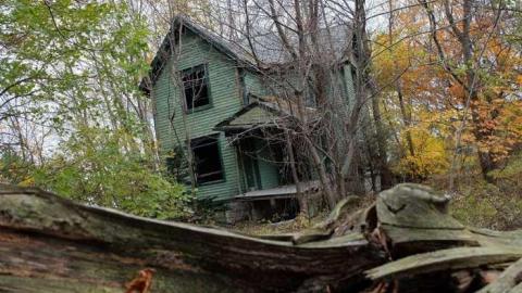 Nov2013 - Big-Green65.jpg