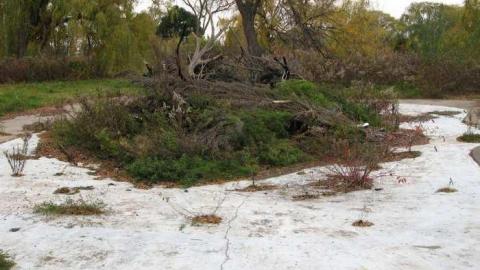 Nov 9/13 Visit - Wet-And-Wild-Waterpark261.jpg