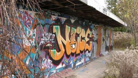 Photo from Nov 9/13 Visit