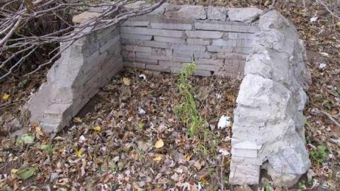 Nov 9/13 Visit - IMG_5881.jpg