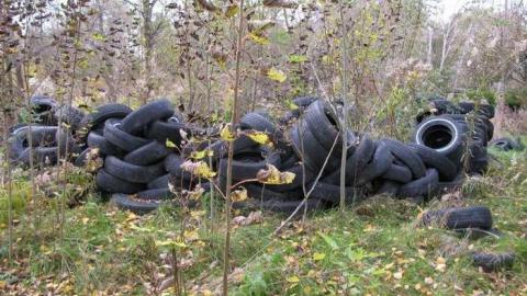 Nov 9/13 Visit - IMG_5885.jpg