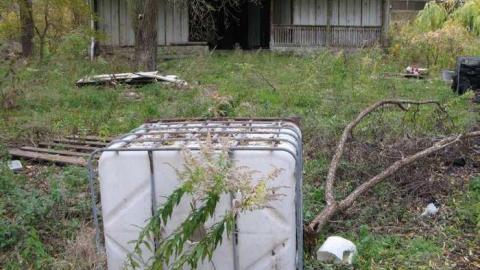 Nov 9/13 Visit - IMG_5890.jpg