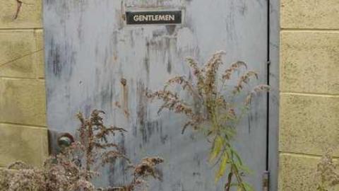 Nov 9/13 Visit - IMG_5902.jpg