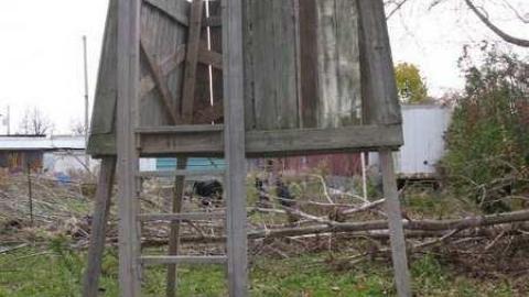 Nov 9/13 Visit - IMG_5918.jpg