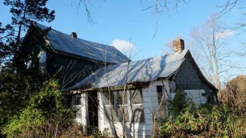 Nov2013 - S0029002.jpg