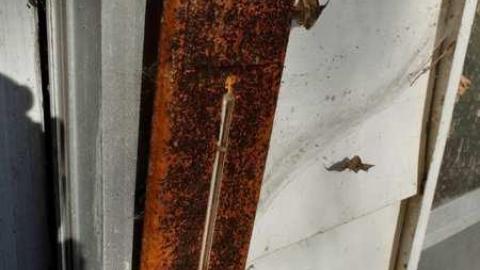 Nov2013 - S0429042.jpg