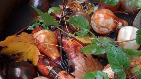 Discovery trip with GS & DM420 - M40.jpg