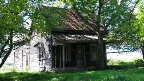 Photo from Horncastle remains