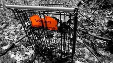 Siren's Backyard - Piggy2.jpg