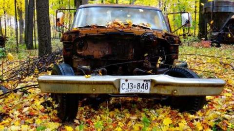 Alien Pig Farm photo 4