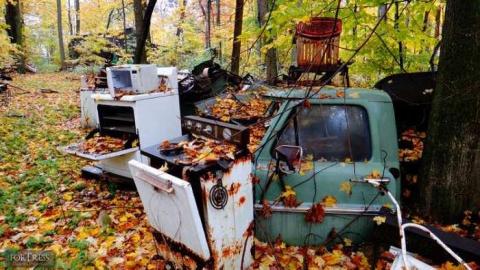 Siren's Backyard - Piggy8.jpg