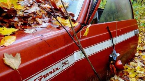 Alien Pig Farm photo 2