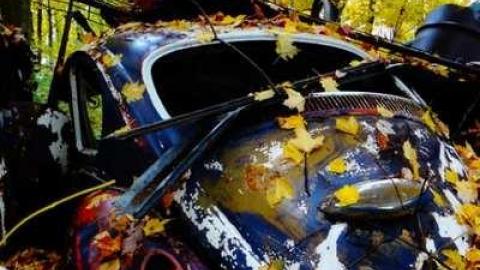 Alien Pig Farm - Norfolk County, Ontario