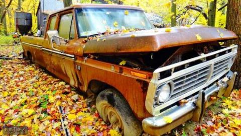 Siren's Backyard - Piggy13.jpg