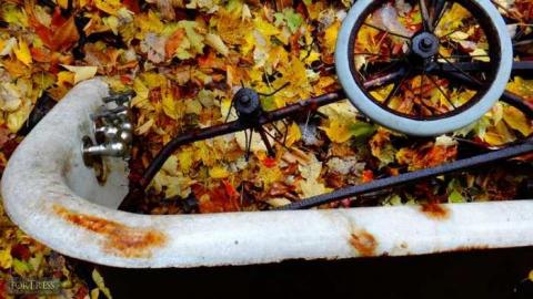 Siren's Backyard - Piggy19.jpg