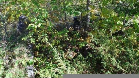 Photo from Horncastle remains