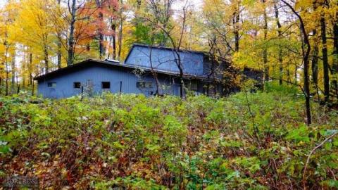 Siren's Backyard - Piggy21.jpg