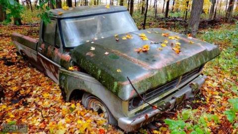 Siren's Backyard - Piggy23.jpg