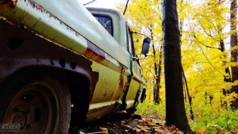 Siren's Backyard - Piggy25.jpg