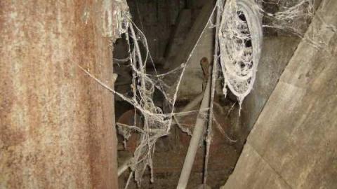 coop - Stouffville-Coop5.jpg