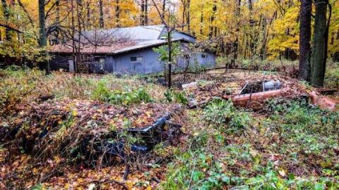 Map to a New Species? - 01.jpg