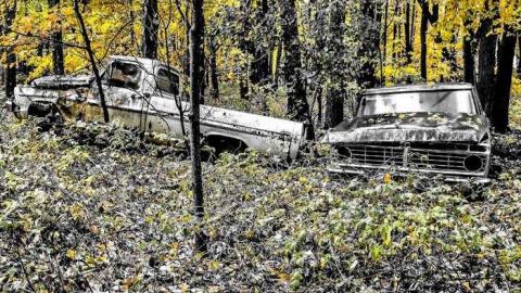 Map to a New Species? - 02.jpg