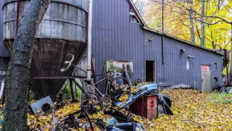 Map to a New Species? - 02b.jpg