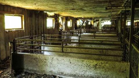 Map to a New Species? - 03.jpg