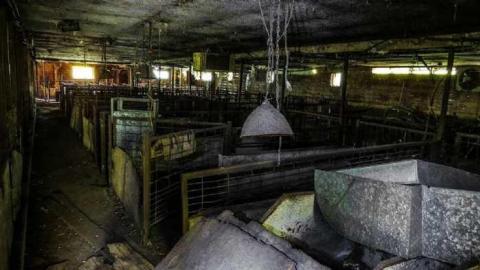 Map to a New Species? - 06.jpg