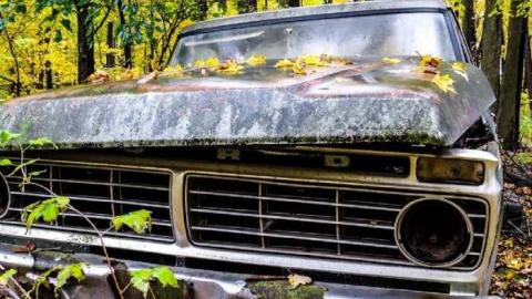 Photo from Map to a New Species?