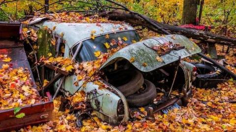 Photo from Map to a New Species?